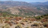 Randonnée Marche Moltifao - Les ruines de Sepula en boucle - Photo 3