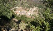 Trail Walking Moltifao - Les ruines de Sepula en boucle - Photo 1