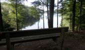 Trail Cycle Jalhay - Ballade du Lac de la Gileppe - Photo 5