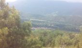 Trail Walking Corneilla-de-Conflent - Corneilla de conflent -filhols - Photo 1