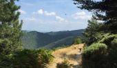 Tour Wandern Vialas - Sentier de l'Avès depuis le Coupétadou - Photo 7