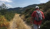 Trail Walking Vialas - Sentier de l'Avès depuis le Coupétadou - Photo 6