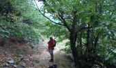 Trail Walking Vialas - Sentier de l'Avès depuis le Coupétadou - Photo 3