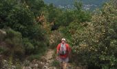 Tour Wandern Vialas - Sentier de l'Avès depuis le Coupétadou - Photo 2