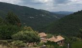 Tour Wandern Vialas - Sentier de l'Avès depuis le Coupétadou - Photo 1