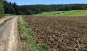 Excursión Senderismo Anhée - Par monts et par vaux : Maredsous - Photo 8