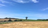 Tocht Stappen Anhée - Par monts et par vaux : Maredsous - Photo 6