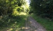 Excursión Senderismo Anhée - Par monts et par vaux : Maredsous - Photo 3