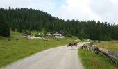 Percorso Marcia Gemeinde Seefeld in Tirol - Randonnée des 3 lacs sur le plateau de Seefeld - Photo 19