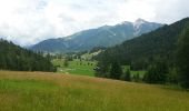 Percorso Marcia Gemeinde Seefeld in Tirol - Randonnée des 3 lacs sur le plateau de Seefeld - Photo 6