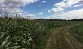 Tocht Stappen La Ferté-sous-Jouarre - Circuit au départ de La Ferté sous Jouarre - Photo 13