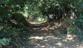 Trail Walking Bréal-sous-Montfort - 21.08.2016 - 30 k BRÉAL - Photo 5