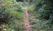Trail Walking Bréal-sous-Montfort - 21.08.2016 - 30 k BRÉAL - Photo 3