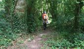 Trail Walking Bréal-sous-Montfort - 21.08.2016 - 30 k BRÉAL - Photo 6