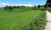 Tocht Mountainbike Villard-de-Lans - Via Vercors, Villard de lans - St Nizier de Moucherotte via Lans en Vercors - Photo 17