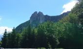 Tocht Mountainbike Villard-de-Lans - Via Vercors, Villard de lans - St Nizier de Moucherotte via Lans en Vercors - Photo 15