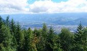 Percorso Mountainbike Villard-de-Lans - Via Vercors, Villard de lans - St Nizier de Moucherotte via Lans en Vercors - Photo 14