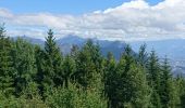 Percorso Mountainbike Villard-de-Lans - Via Vercors, Villard de lans - St Nizier de Moucherotte via Lans en Vercors - Photo 13