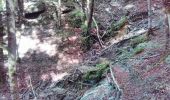 Trail Walking Vuillafans - cascade et source - Photo 1
