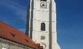 Randonnée Marche Sebourg - Les O de Sebourg - Photo 1