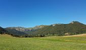 Tocht Stappen Chambon-sur-Lac - Chambon-village_Voissiere_T - Photo 1