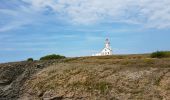 Tocht Stappen Sauzon - pointe des poulains  - Photo 2