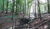 Trail Walking Spa - Balade entre fagnes et Forêts - Domaine de Bérinzenne - Photo 1