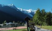 Randonnée Marche Chamonix-Mont-Blanc - CHAMONIX...Triangle de l'Amitié...vers  le Montenvers... - Photo 14