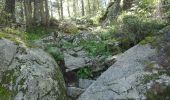 Trail Walking Chamonix-Mont-Blanc - Triangle de Montenverts... - Photo 2