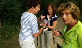 Tocht Noords wandelen Oud-Heverlee - 2016-09-01 Sint-Joris-Weert - Photo 6