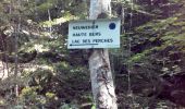 Tour Wandern Rimbach bei Masmünster - Rimbach (Haut-Rhin)(1/9/16) - Photo 3