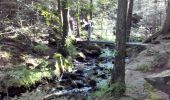 Tour Wandern Rimbach bei Masmünster - Rimbach (Haut-Rhin)(1/9/16) - Photo 2