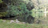 Tour Wandern Rimbach bei Masmünster - Rimbach (Haut-Rhin)(1/9/16) - Photo 1