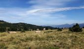 Tocht Stappen Font-Romeu-Odeillo-Via - pic de Mauroux,  Cerdagne - Photo 1