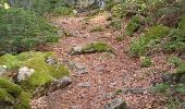 Trail Walking Chastreix - Lae roc de Courlande - Photo 8