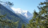 Percorso Marcia Chamonix-Mont-Blanc - CHAMONIX ( Le Chapeau) - Photo 1
