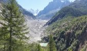 Trail Walking Chamonix-Mont-Blanc - CHAMONIX ( Le Chapeau) - Photo 6