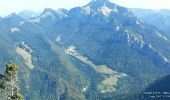 Tocht Stappen Saint-Pierre-de-Chartreuse - col de la charmette - charmant som - Photo 1