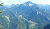 Tocht Stappen Saint-Pierre-de-Chartreuse - col de la charmette - charmant som - Photo 2