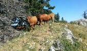 Tocht Stappen Saint-Pierre-de-Chartreuse - col de la charmette - charmant som - Photo 3