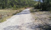 Excursión Senderismo Lauret - bois de dolgues variante - Photo 11