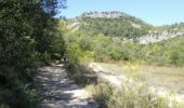 Randonnée Marche Lauret - bois de dolgues variante - Photo 10