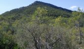 Tocht Stappen Lauret - bois de dolgues variante - Photo 2