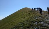 Trail Walking Glandage - joucou  - Photo 18