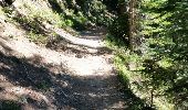 Trail Walking Chamonix-Mont-Blanc - CHAMONIX (Flégère) - Photo 4