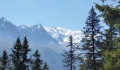 Tour Wandern Chamonix-Mont-Blanc - CHAMONIX (Flégère) - Photo 2