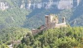 Tour Wandern Rivière-sur-Tarn - Grands Causses - Peyrelade - Chateau-vignes-forêt - 2016 09 09 - Photo 8