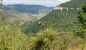 Percorso Marcia Rivière-sur-Tarn - Grands Causses - Peyrelade - Chateau-vignes-forêt - 2016 09 09 - Photo 9