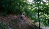 Trail Walking Niederbronn-les-Bains - rando 20160911 - Photo 2