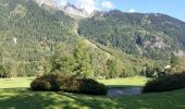 Trail Walking Chamonix-Mont-Blanc - CHAMONIX ( Balcon sud) - Photo 6